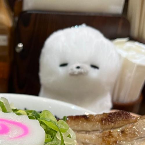 สมาชิกหมายเลข 8364693