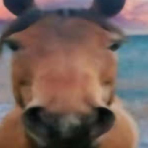 สมาชิกหมายเลข 9045587