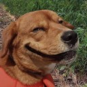 สมาชิกหมายเลข 4244571