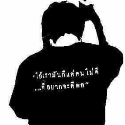 สมาชิกหมายเลข 4256217