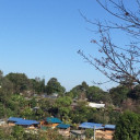 สมาชิกหมายเลข 4297023