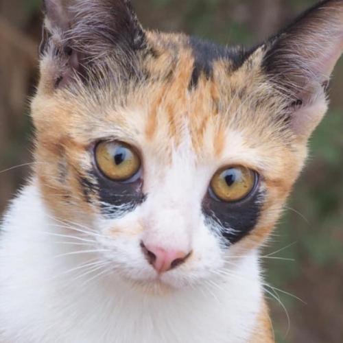 สมาชิกหมายเลข 3248609