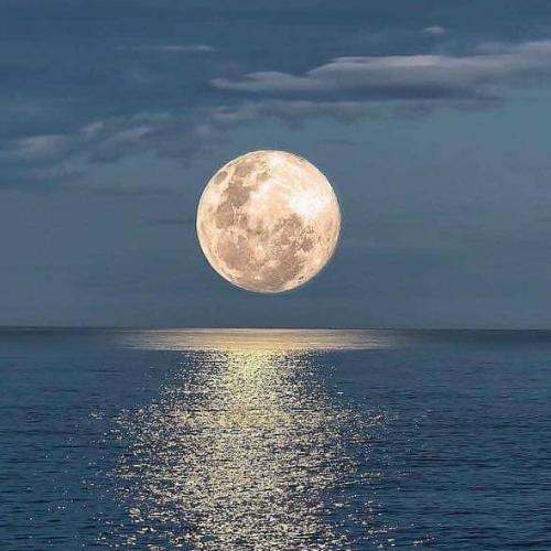 สมาชิกหมายเลข 3968750