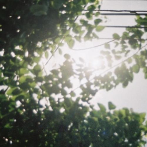 สมาชิกหมายเลข 5274181