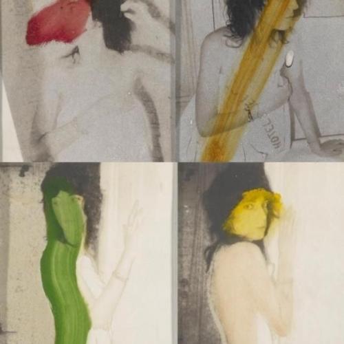 สมาชิกหมายเลข 6501693