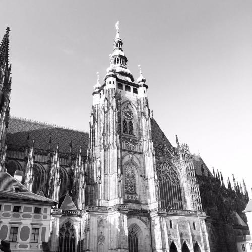 สมาชิกหมายเลข 2946777