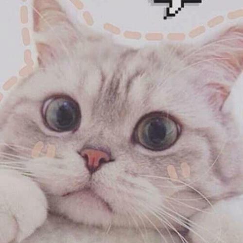 สมาชิกหมายเลข 4293498