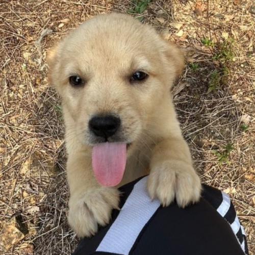 สมาชิกหมายเลข 8019987