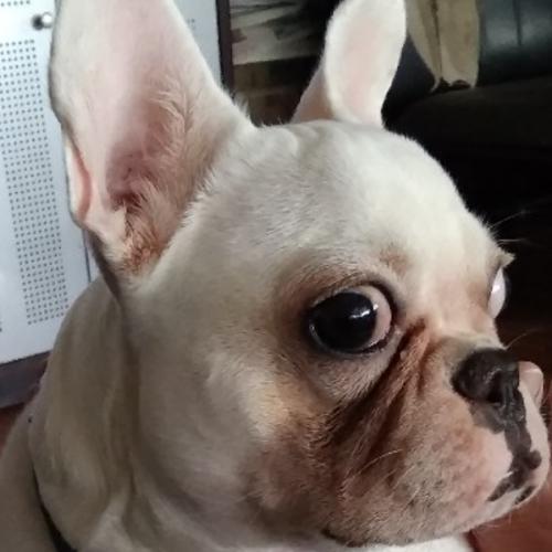 สมาชิกหมายเลข 8020394