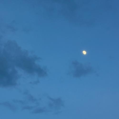 สมาชิกหมายเลข 9046215