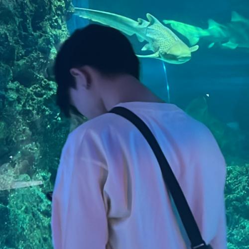 สมาชิกหมายเลข 9046385