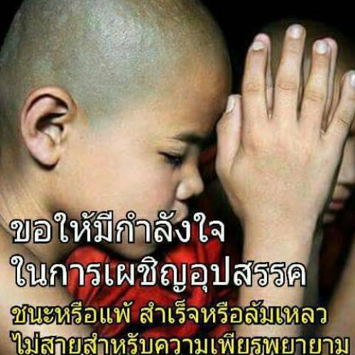 สมาชิกหมายเลข 4256982