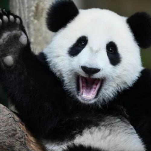 สมาชิกหมายเลข 3810348