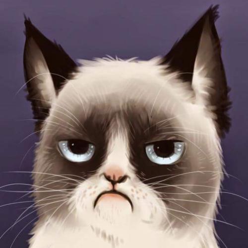 สมาชิกหมายเลข 4093816