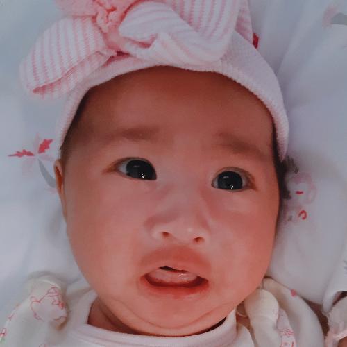 สมาชิกหมายเลข 5397368