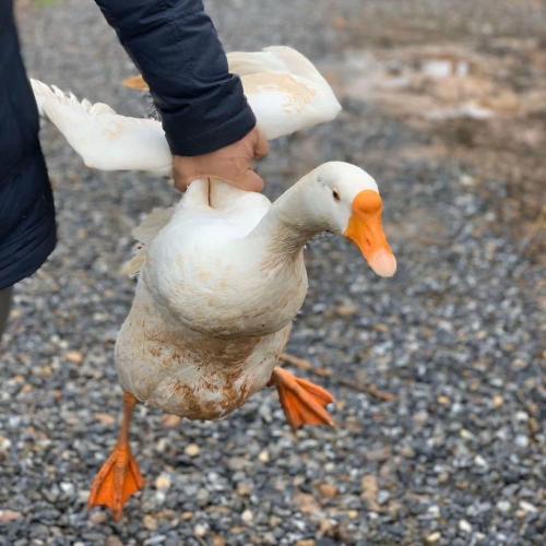 สมาชิกหมายเลข 5899819