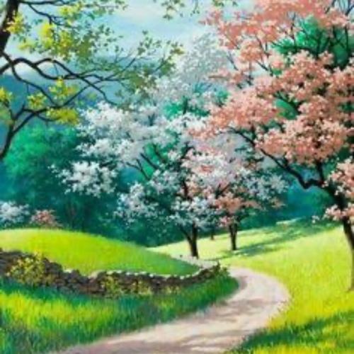 สมาชิกหมายเลข 3807582