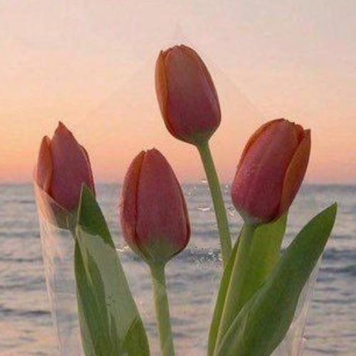 สมาชิกหมายเลข 6501214