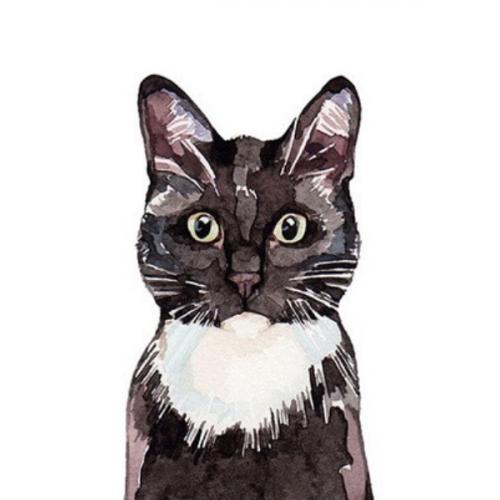 สมาชิกหมายเลข 6745711