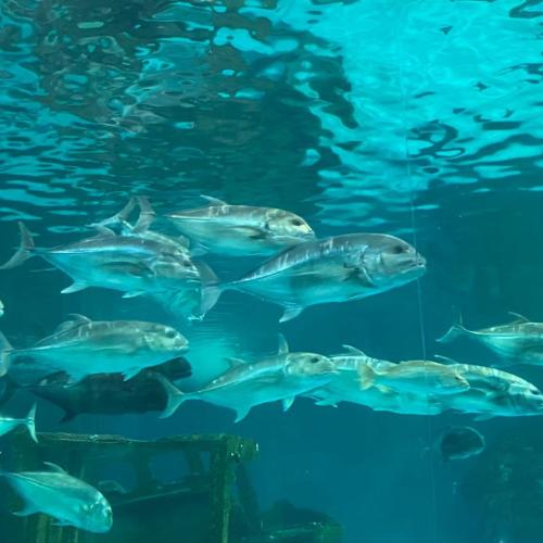 สมาชิกหมายเลข 7213107