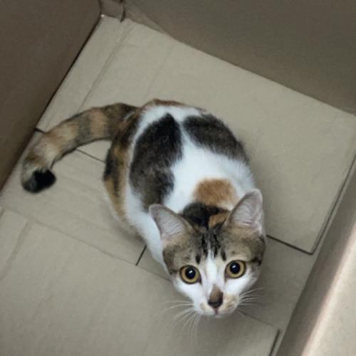 สมาชิกหมายเลข 3823045