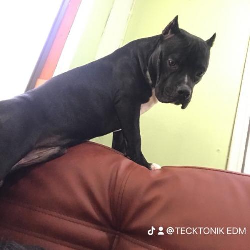 สมาชิกหมายเลข 8020675