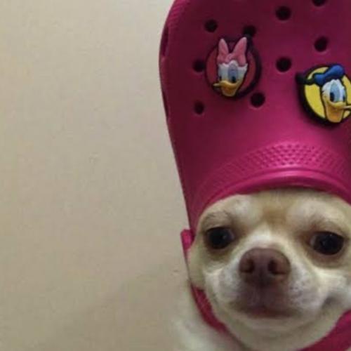 สมาชิกหมายเลข 8226635