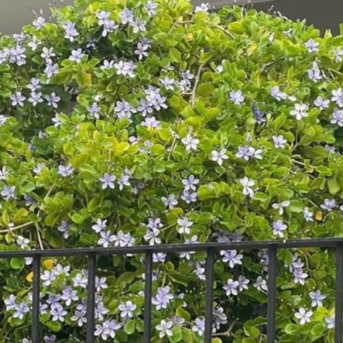 สมาชิกหมายเลข 8537872