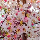 สมาชิกหมายเลข 3362373