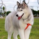 สมาชิกหมายเลข 4257168