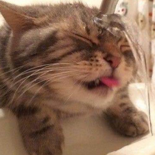 สมาชิกหมายเลข 5003551