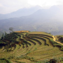 สมาชิกหมายเลข 4408174