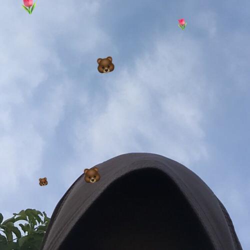 สมาชิกหมายเลข 5900985