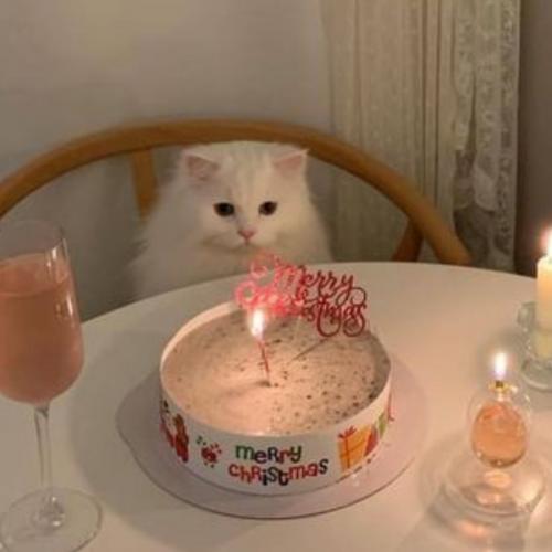 สมาชิกหมายเลข 5901239