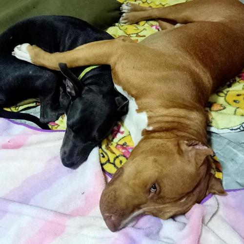 สมาชิกหมายเลข 5901272