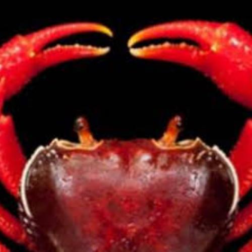 สมาชิกหมายเลข 7212507