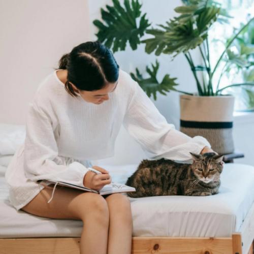 สมาชิกหมายเลข 5638549