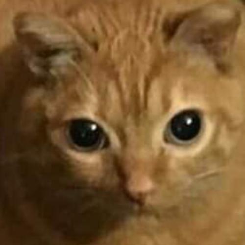 สมาชิกหมายเลข 7231283