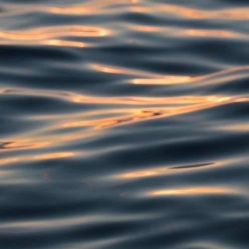 สมาชิกหมายเลข 9047888