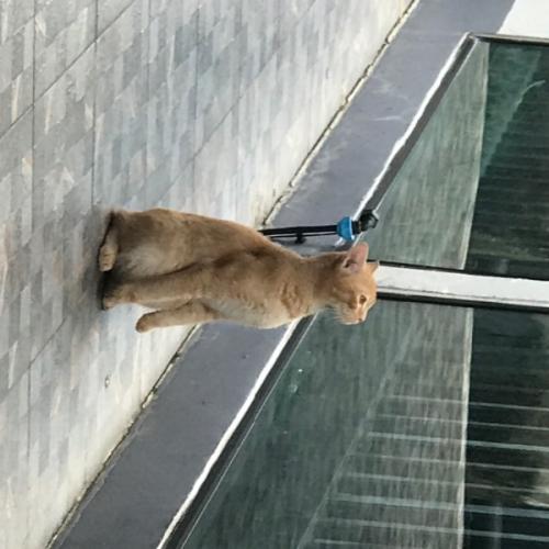 สมาชิกหมายเลข 9048139