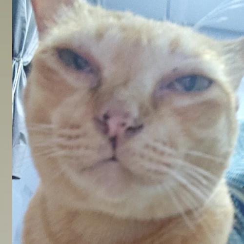 สมาชิกหมายเลข 9048538