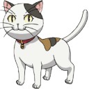 สมาชิกหมายเลข 4257561