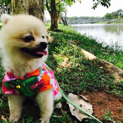 ตุ้มเม้งจัง