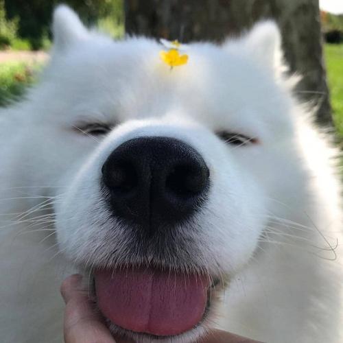 สมาชิกหมายเลข 5003333