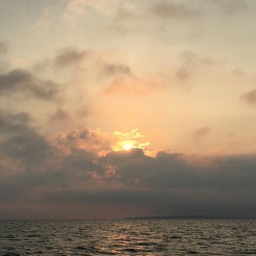 สมาชิกหมายเลข 5003947