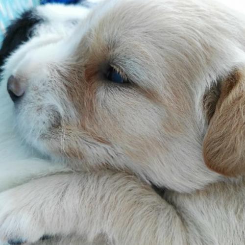 สมาชิกหมายเลข 5901836