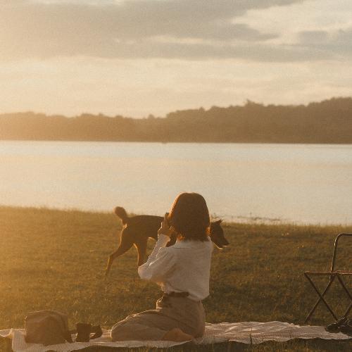 สมาชิกหมายเลข 6503869