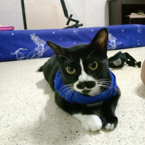 สมาชิกหมายเลข 6793799