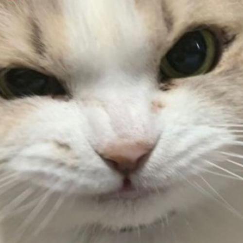 สมาชิกหมายเลข 5188880