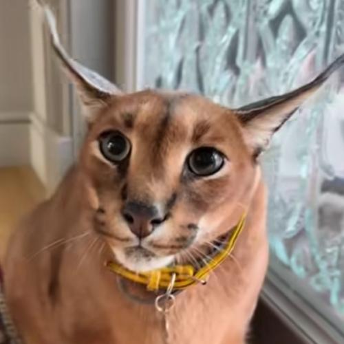 สมาชิกหมายเลข 7605291